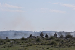 EL RIL PALMA 47 EN CHINCHILLA