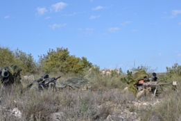 EL RIL PALMA 47 EN CHINCHILLA