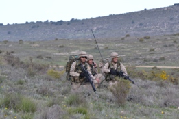 EL RIL PALMA 47 EN CHINCHILLA