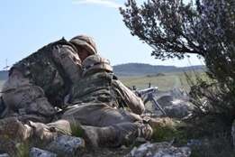 EL RIL PALMA 47 EN CHINCHILLA