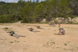 UN DÍA CON EL RIL PALMA 47