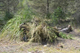 UN DÍA CON EL RIL PALMA 47