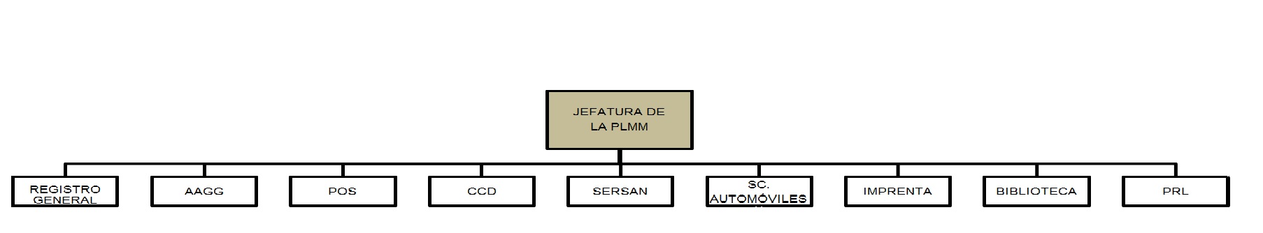 ORGANIGRAMA PLMM COLOR