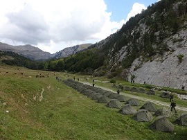 Marchando entre una zona de vivac