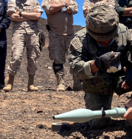 Desactivación de NOEX mediante cargas especiales