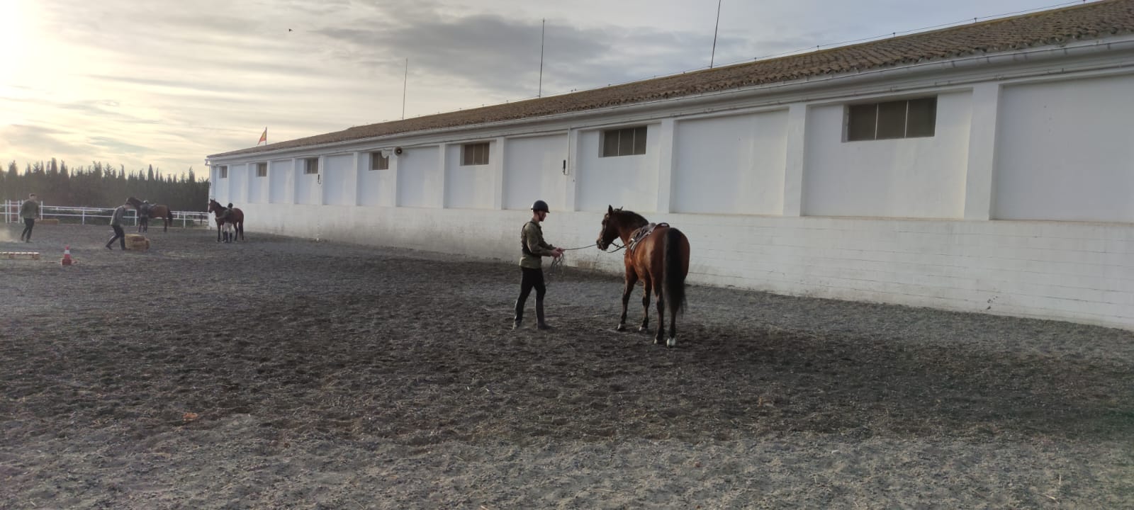 Instrucción ecuestre 09