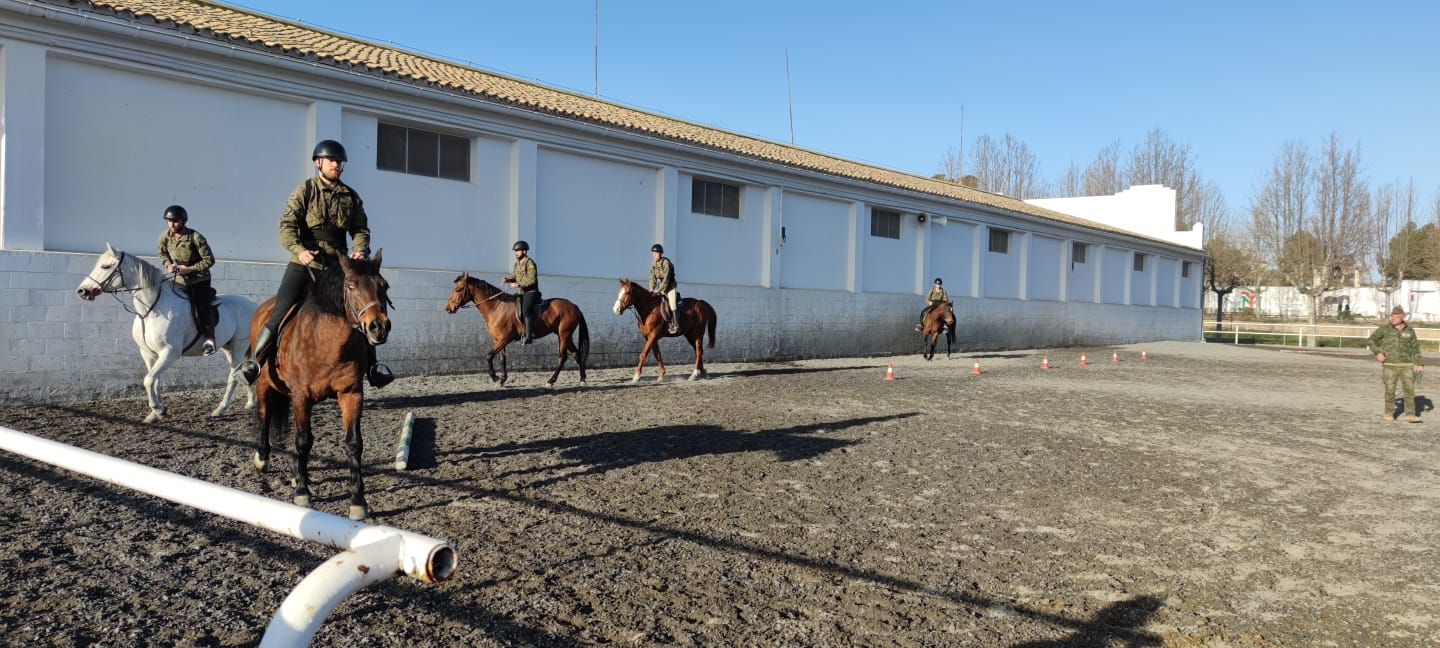 Instrucción ecuestre 20