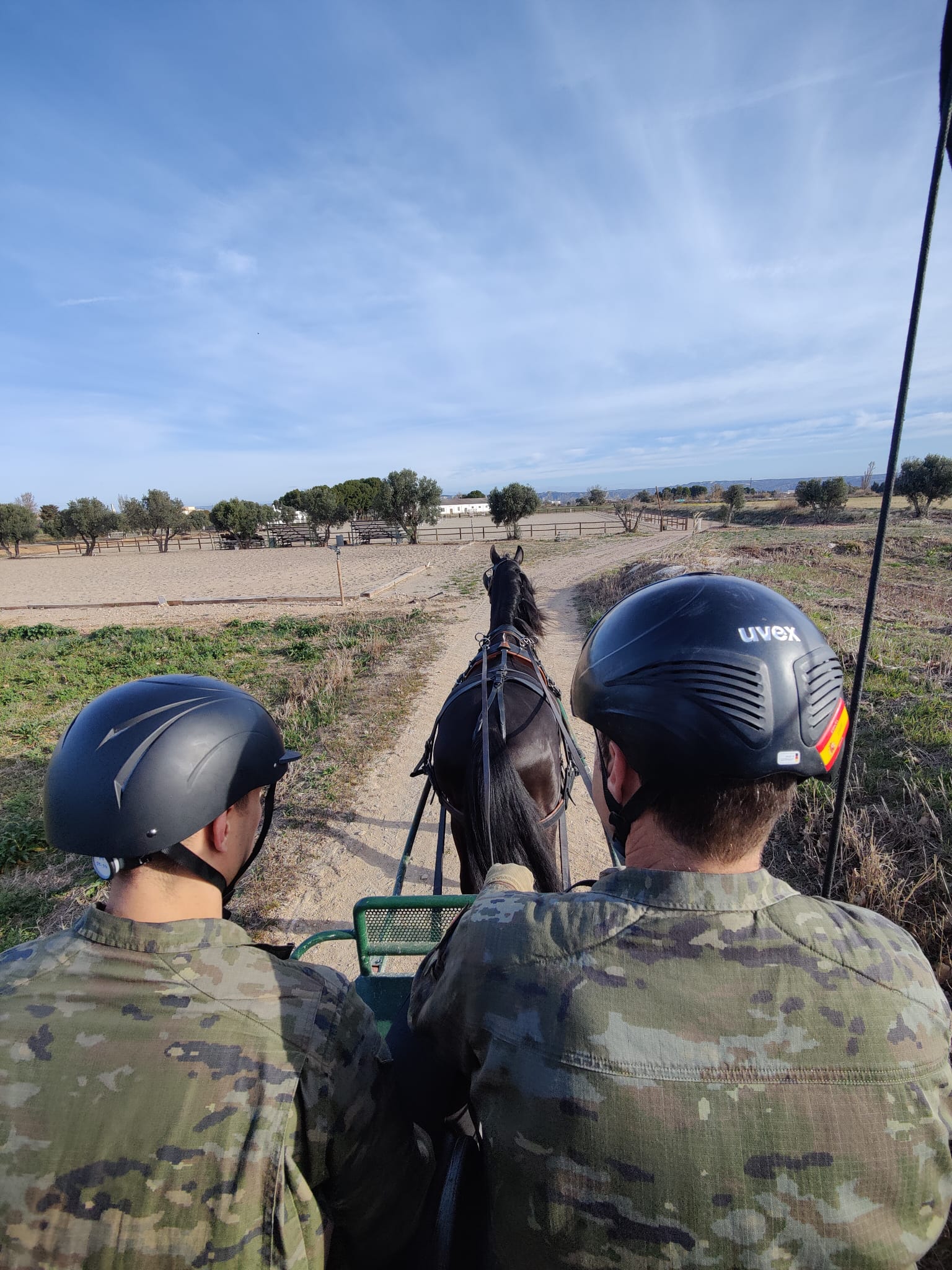 Instrucción ecuestre 29