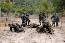 Húsares de la Princesa PARECA 2017 (Foto:PAVIA 4)
