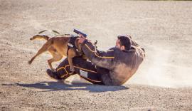 Ejercicio Angel Guardián