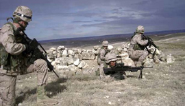 Brigada de Infantería Ligera 'San Marcial' V