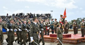 Desfile de la Fuerza