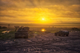 Leopardo dando apoyo