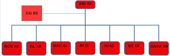 ORGANIGRAMA SIN ESCUDOS