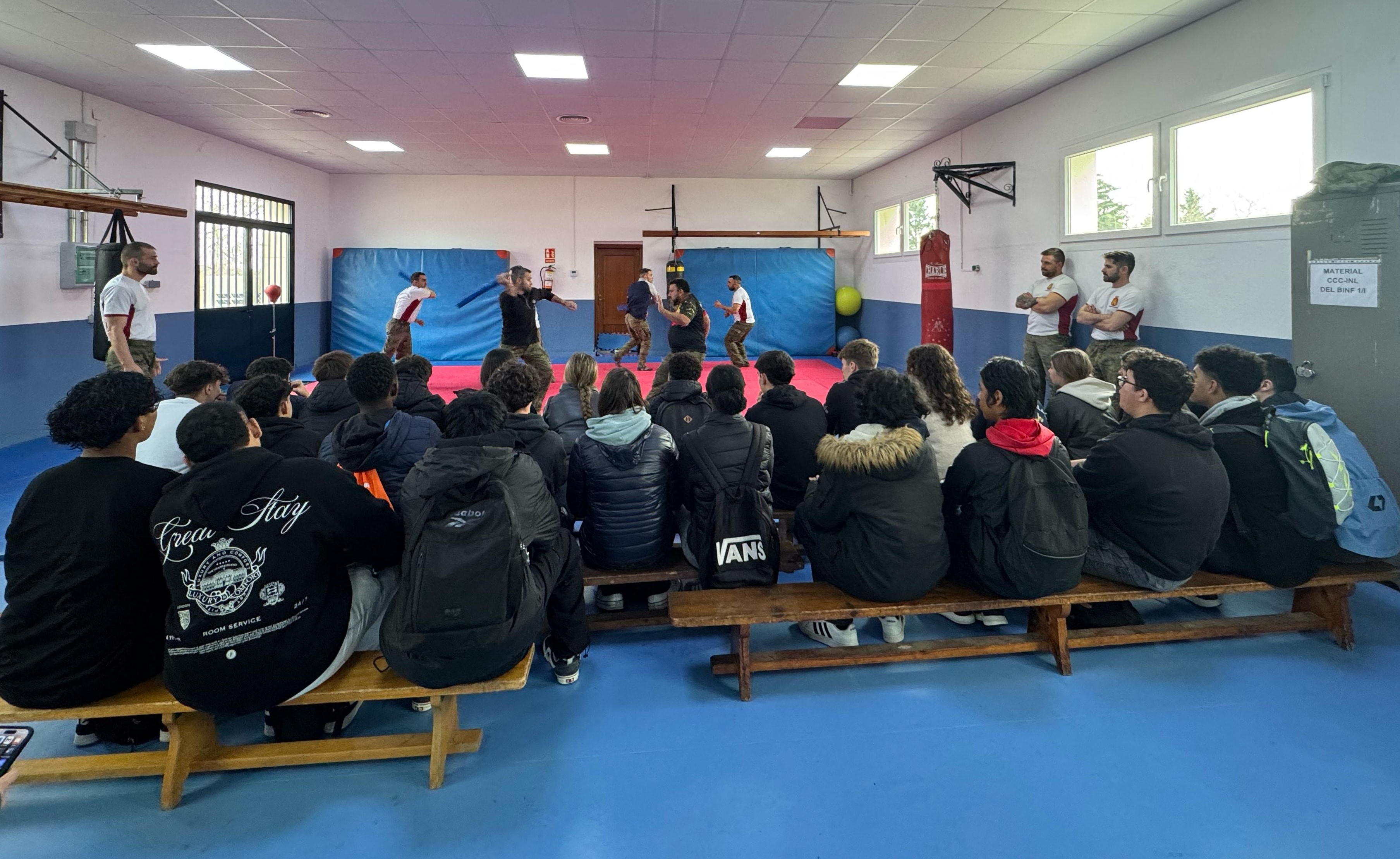 texto alternativo para ie 