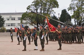Formación del Grupo de Artillería VII.