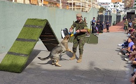 Pista de obstáculos