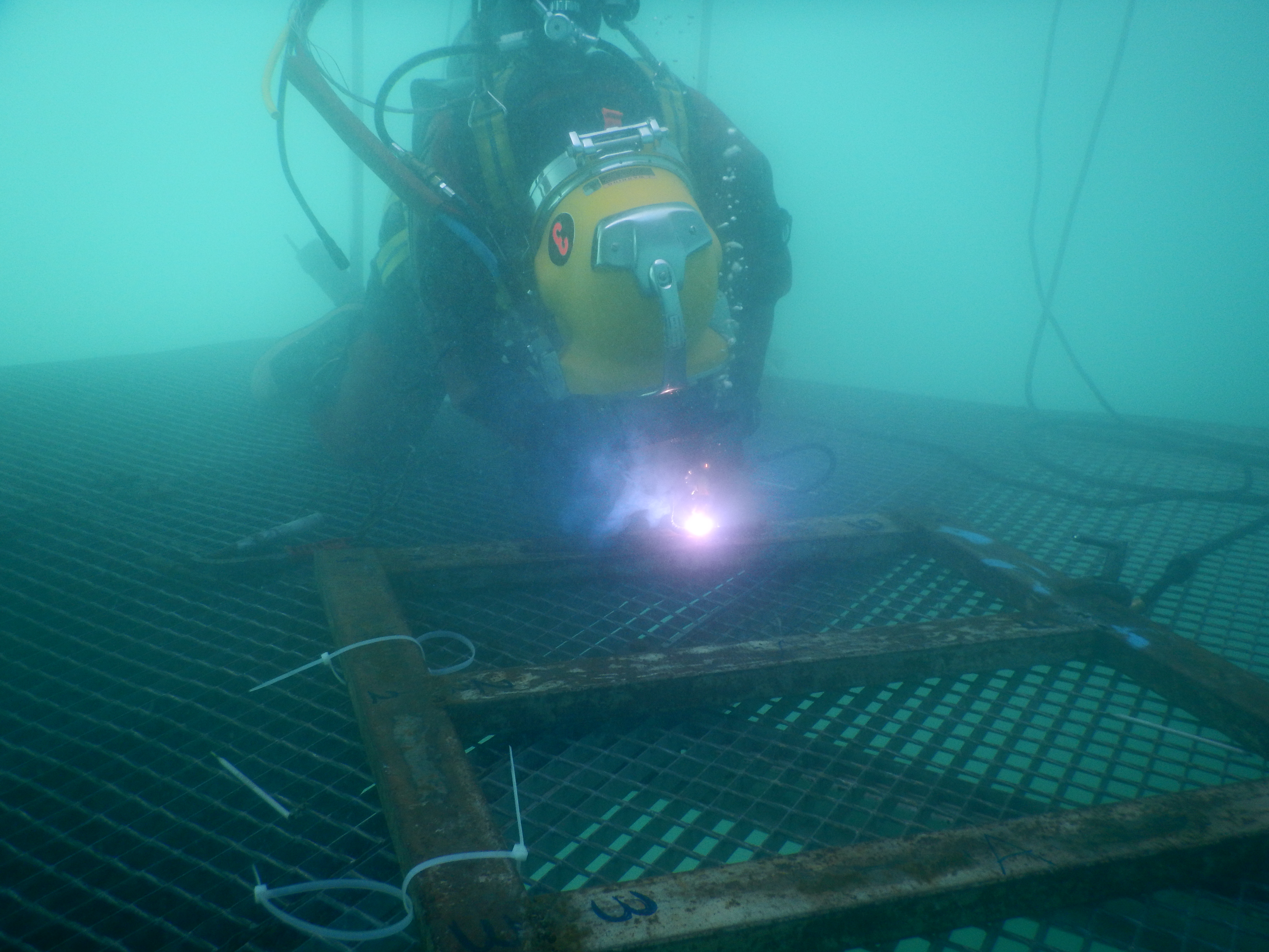 Compañía de Operaciones Anfibias