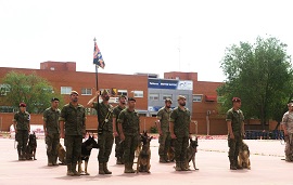 Integrantes representando el BCG BRICANXVI