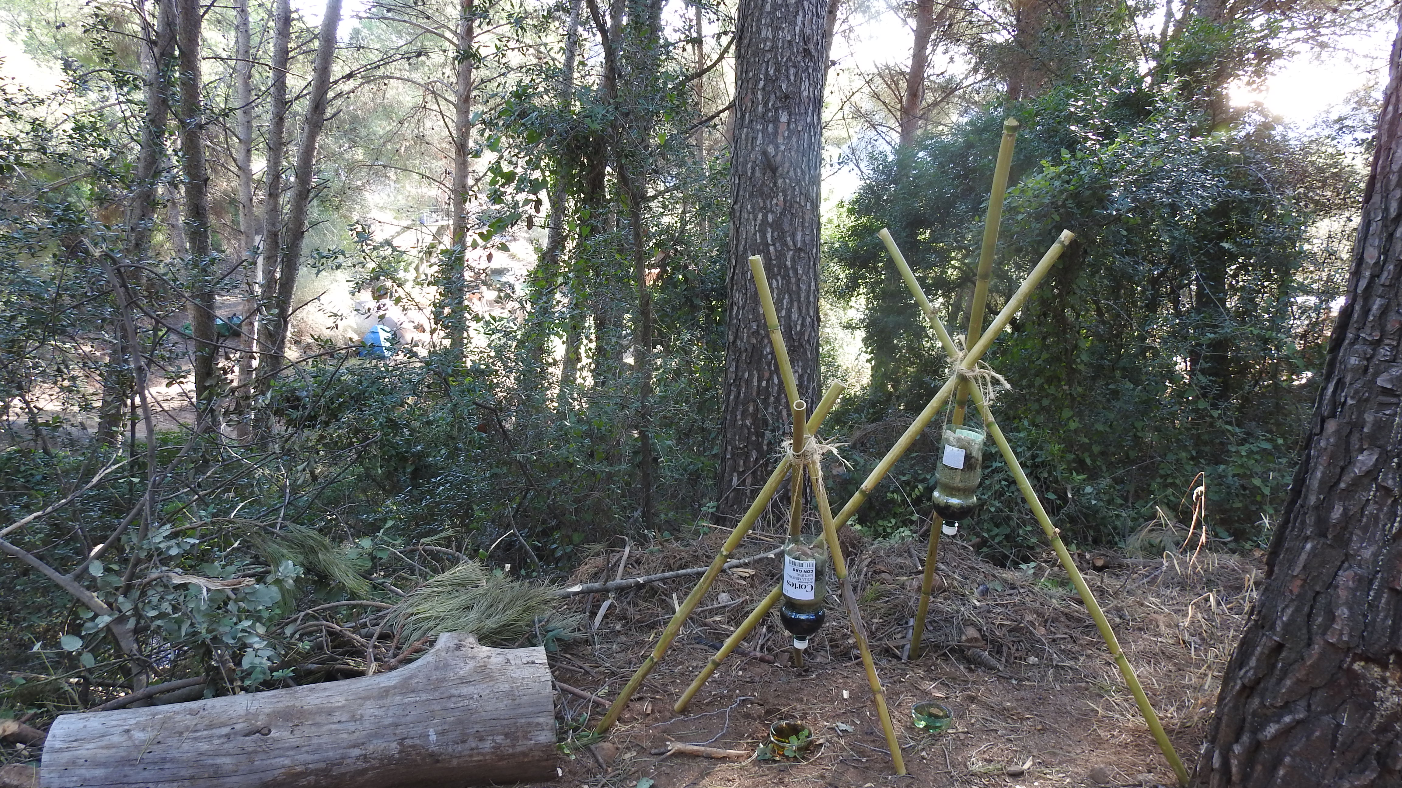 Curso básico de operaciones especiales para tropa