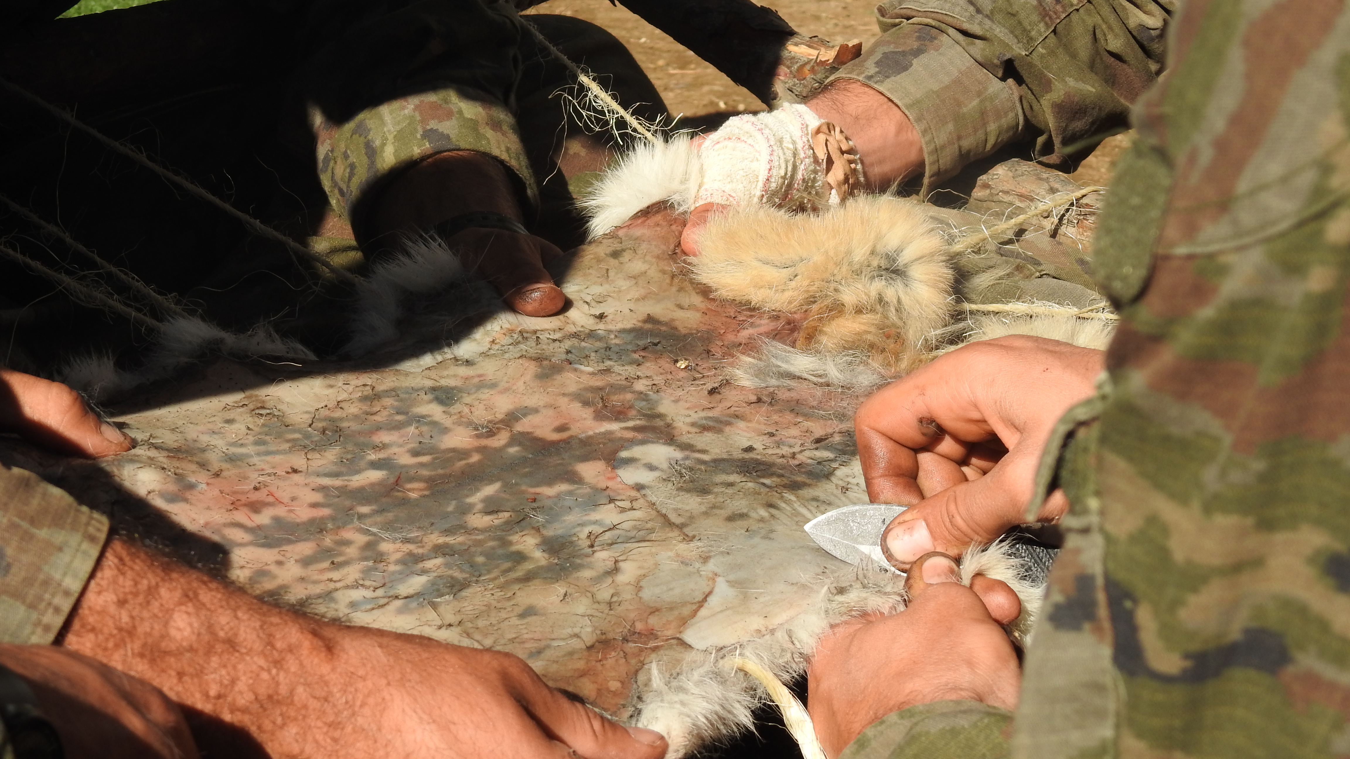 Curso básico de operaciones especiales para tropa