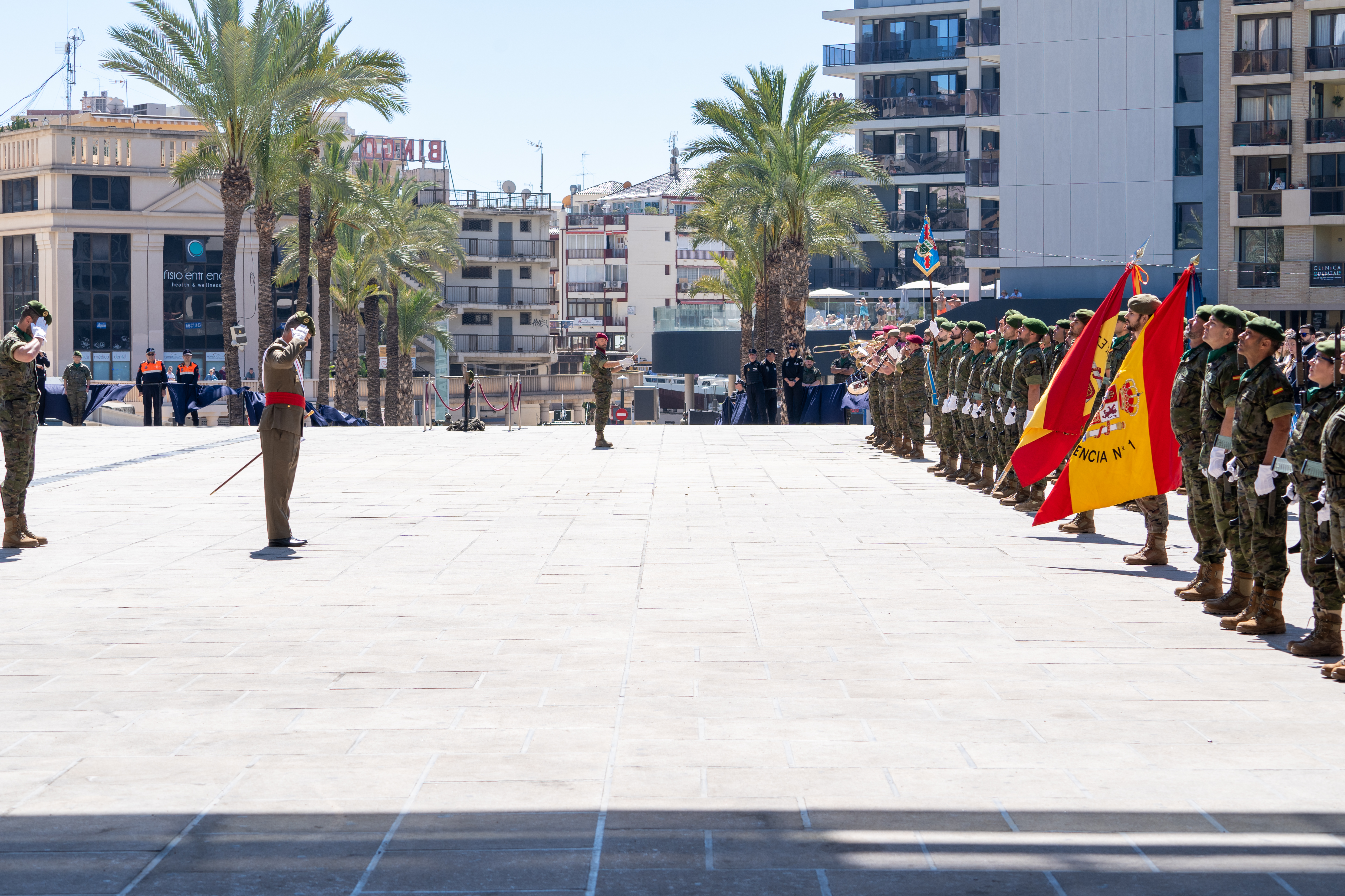 Saludo GEMOE a la Bandera