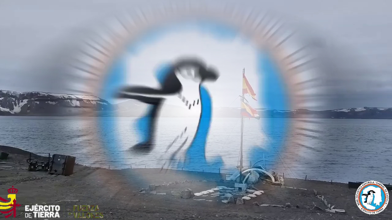 Ingenieros del REI 11