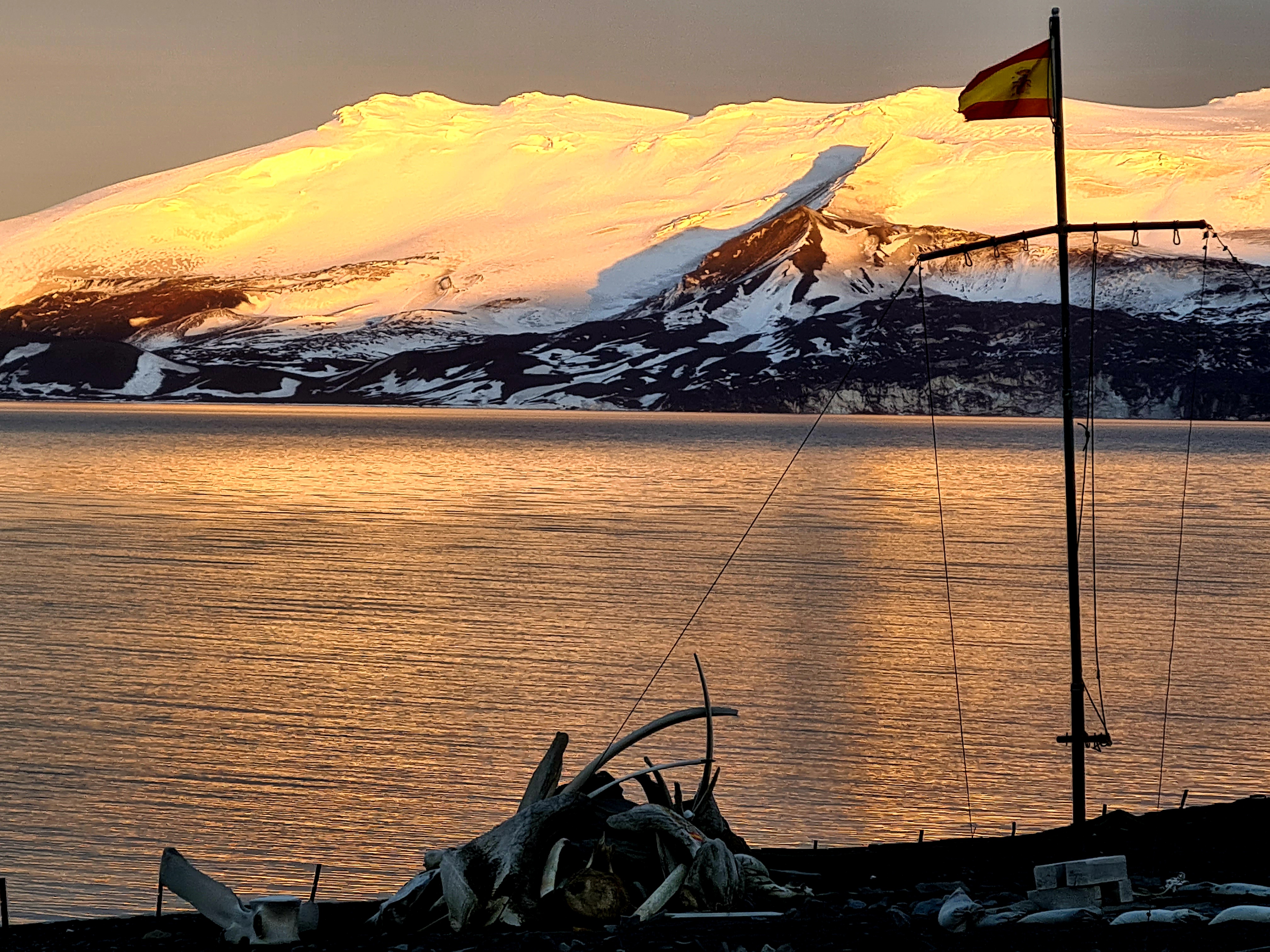 XXXV CAET Bandera en penumbra