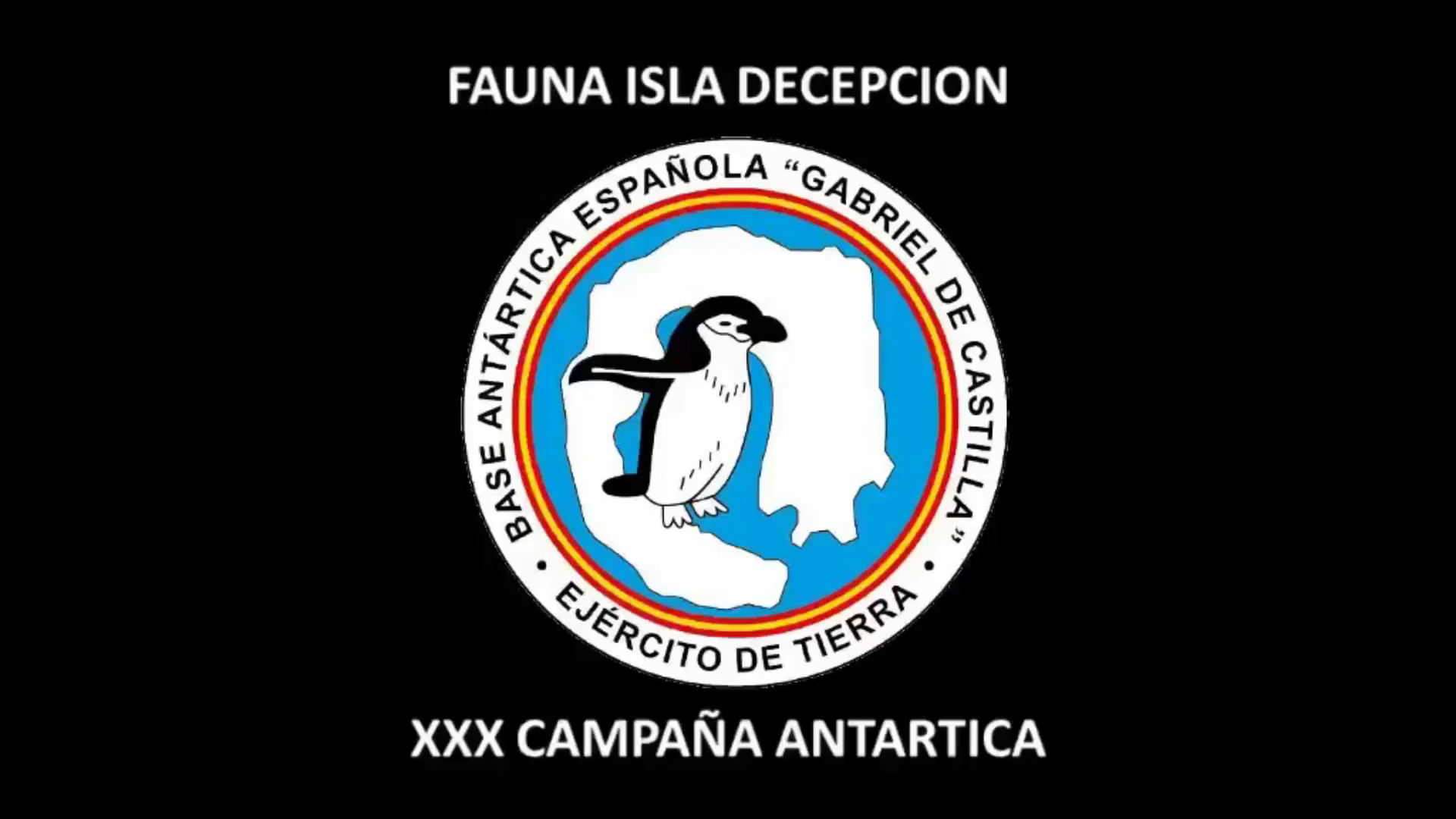 Fauna de Isla Decepción