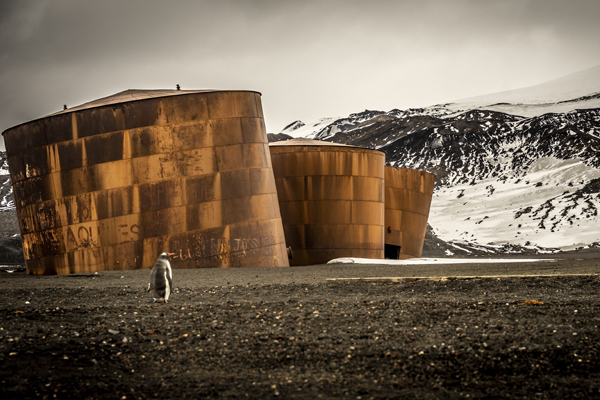 Papúa en los balleneros
