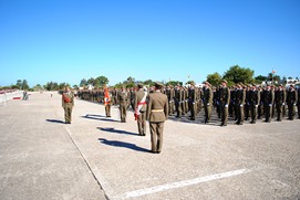 Pasando revista a la Fuerza 