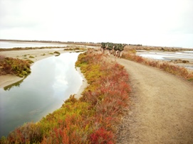 Por las salinas del Parque Natural