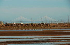 Marcha de 15 km (Foto:CEFOT 2)