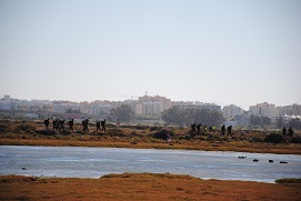 Durante el recorrido