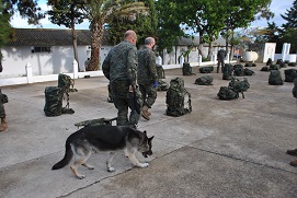 Preparando busqueda en equipaje