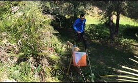 Durante la competición.