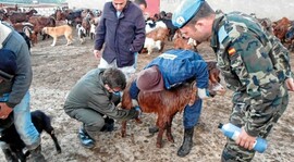 Cascos azules en Líbano.
