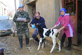 Colaboración con ganaderos libaneses.