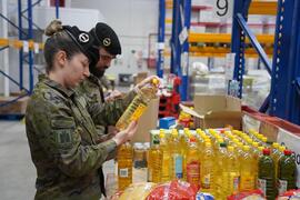 Clasificando el aceite