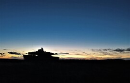 Leopardo en posición de observación