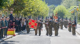 Desfile ante el Excmo. Sr. Subsecretario de Defensa