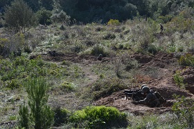 EJERCICIO GRUFLEX EN JAIME II