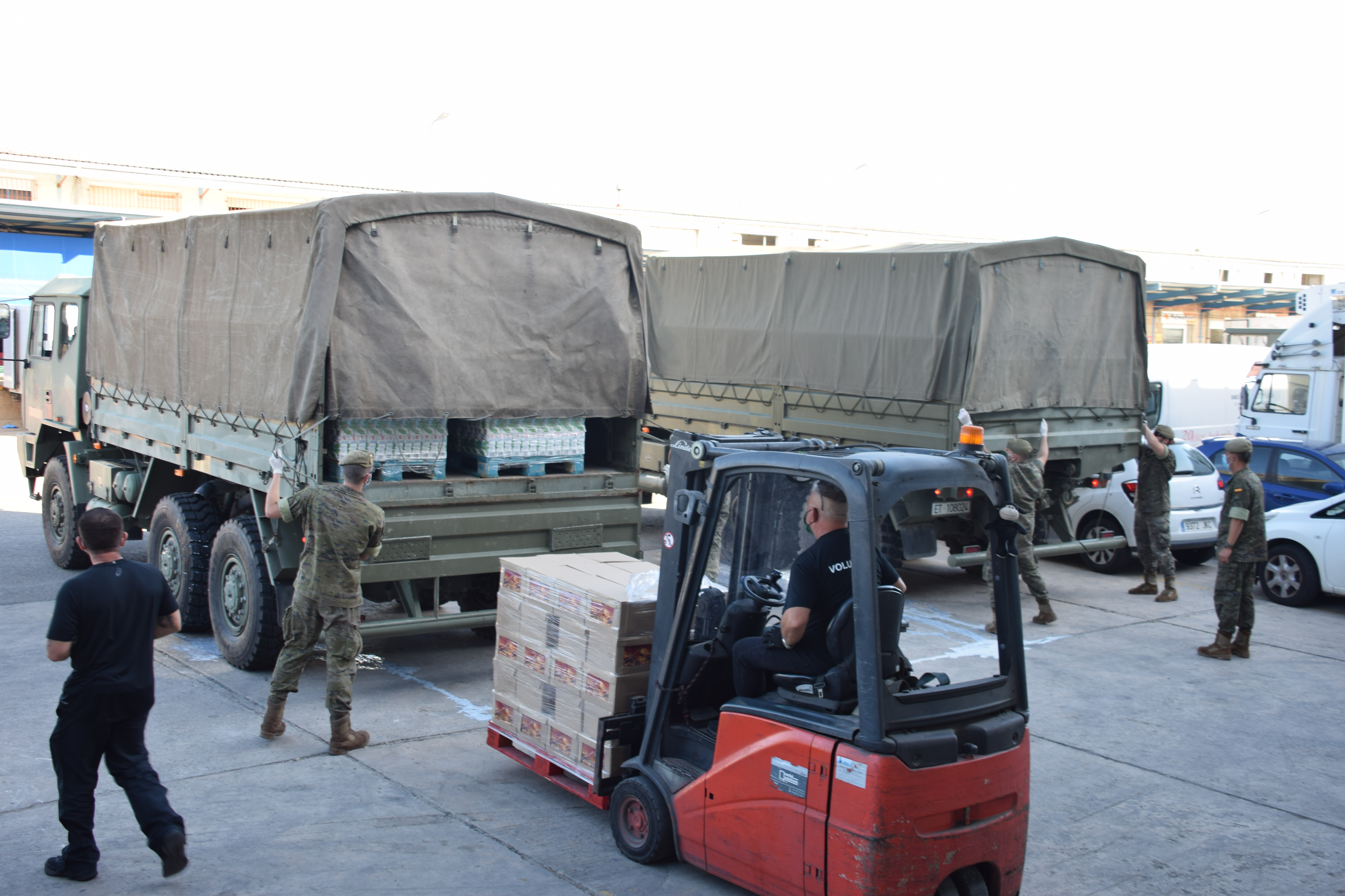 EL ET PARTICIPANDO EN EL BANCO DE ALIMENTOS EN BALEARES