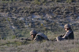 EL RIL PALMA 47 EN CHINCHILLA