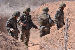 EL RIL PALMA 47 EN CHINCHILLA