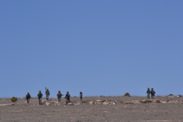 EL RIL PALMA 47 EN CHINCHILLA