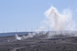 EL RIL PALMA 47 EN CHINCHILLA