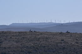 EL RIL PALMA 47 EN CHINCHILLA