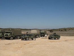 EL RIL PALMA 47 EN CHINCHILLA