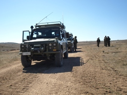 EL RIL PALMA 47 EN CHINCHILLA